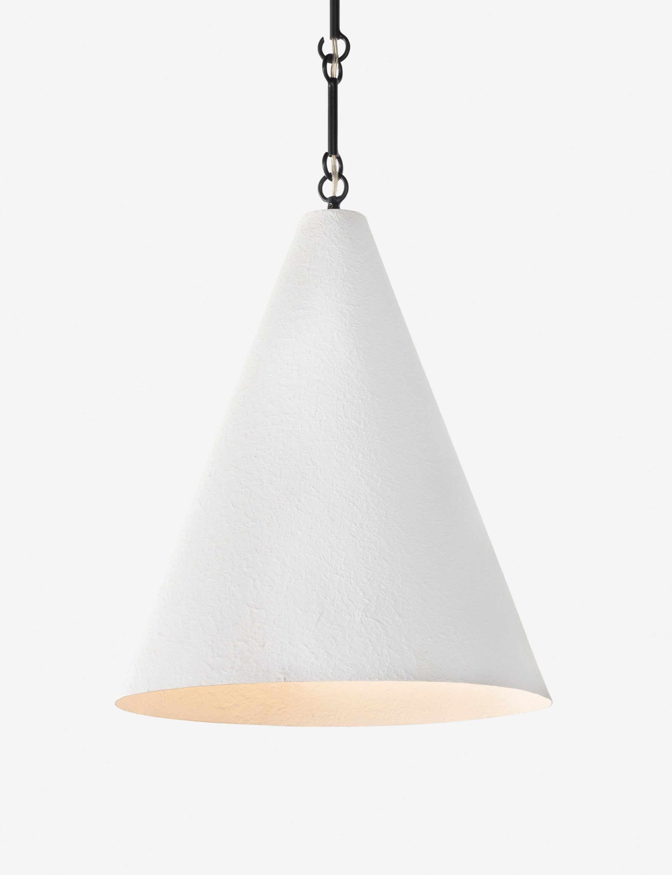 Ashwin Pendant Light
