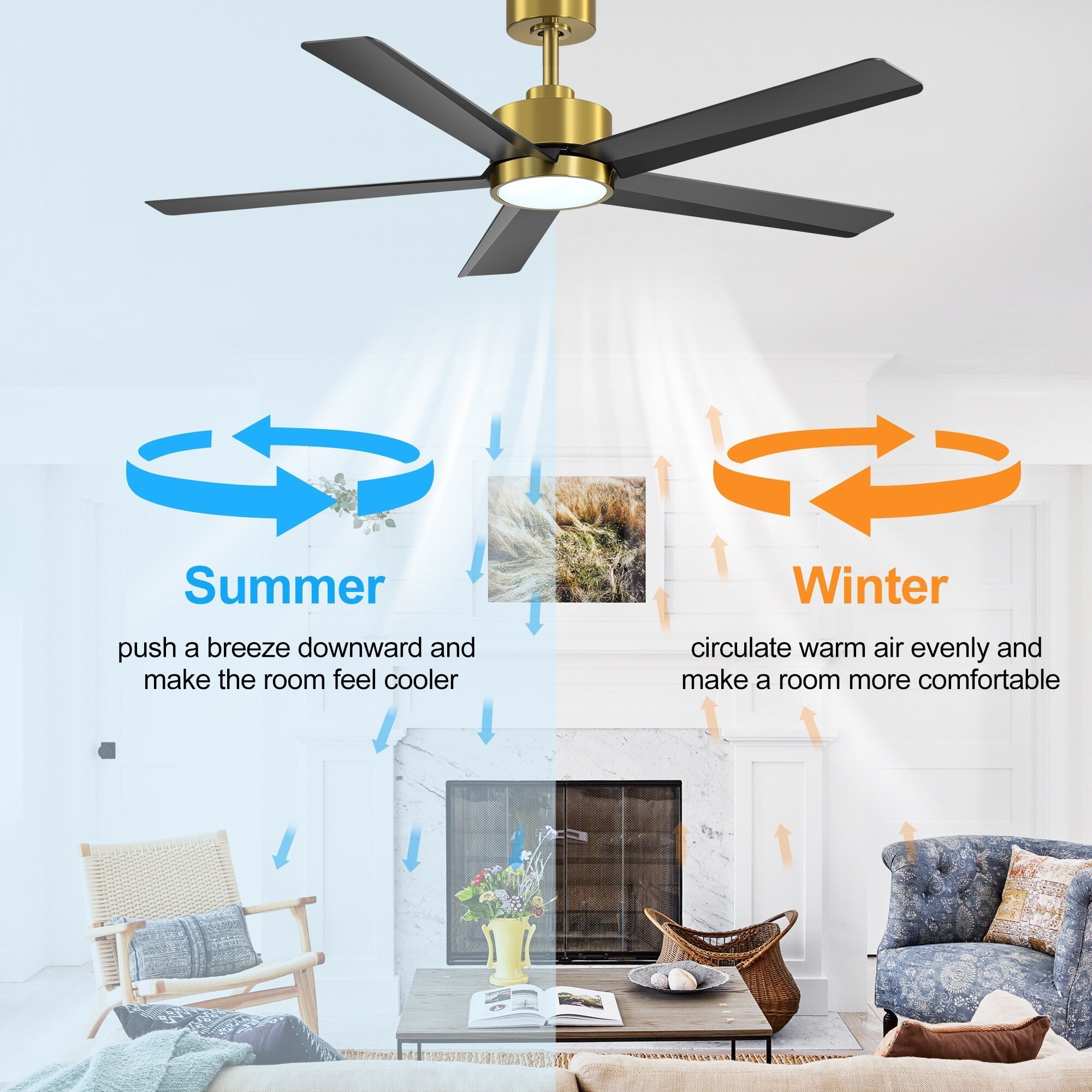 Breezary 65/52/42 5-Blade LED Ceiling Fan with Light Kit and Remote