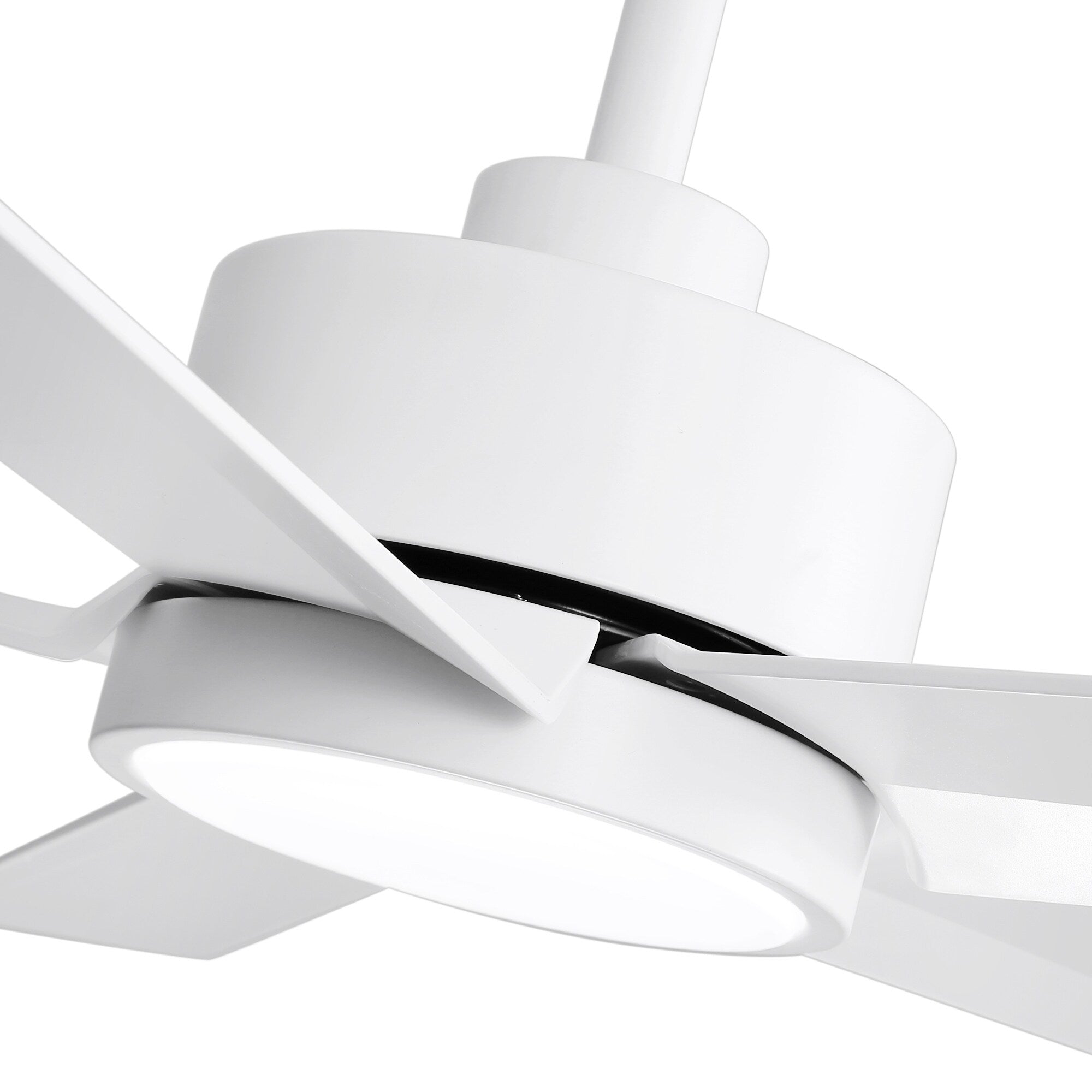 Breezary 65/52/42 5-Blade LED Ceiling Fan with Light Kit and Remote