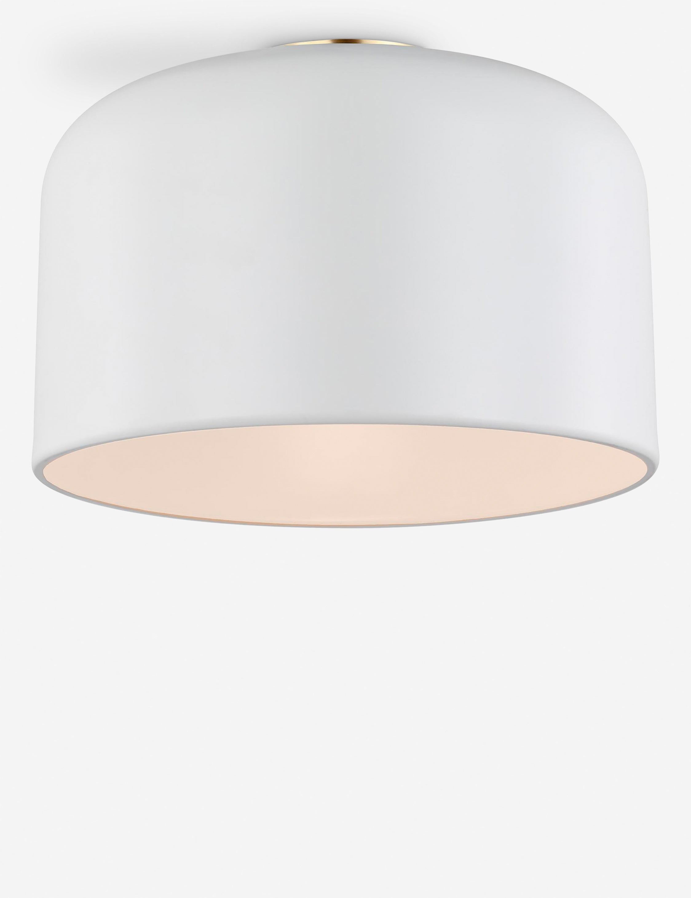 Olaf Flush Mount Light