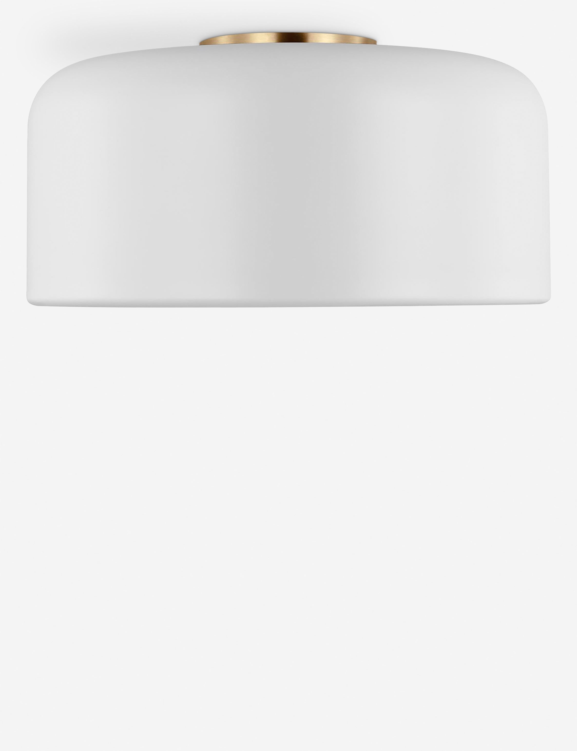 Olaf Flush Mount Light