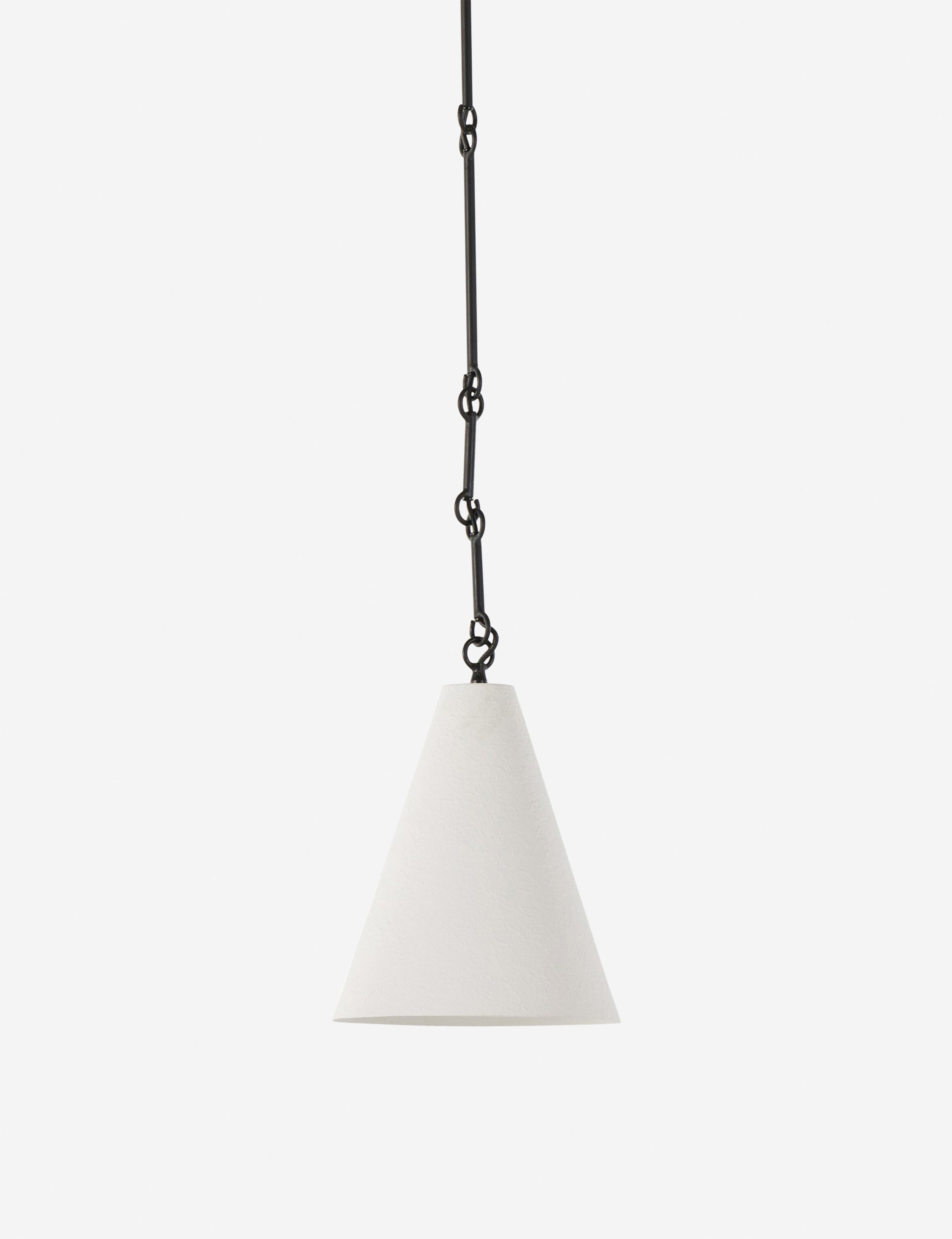Ashwin Pendant Light