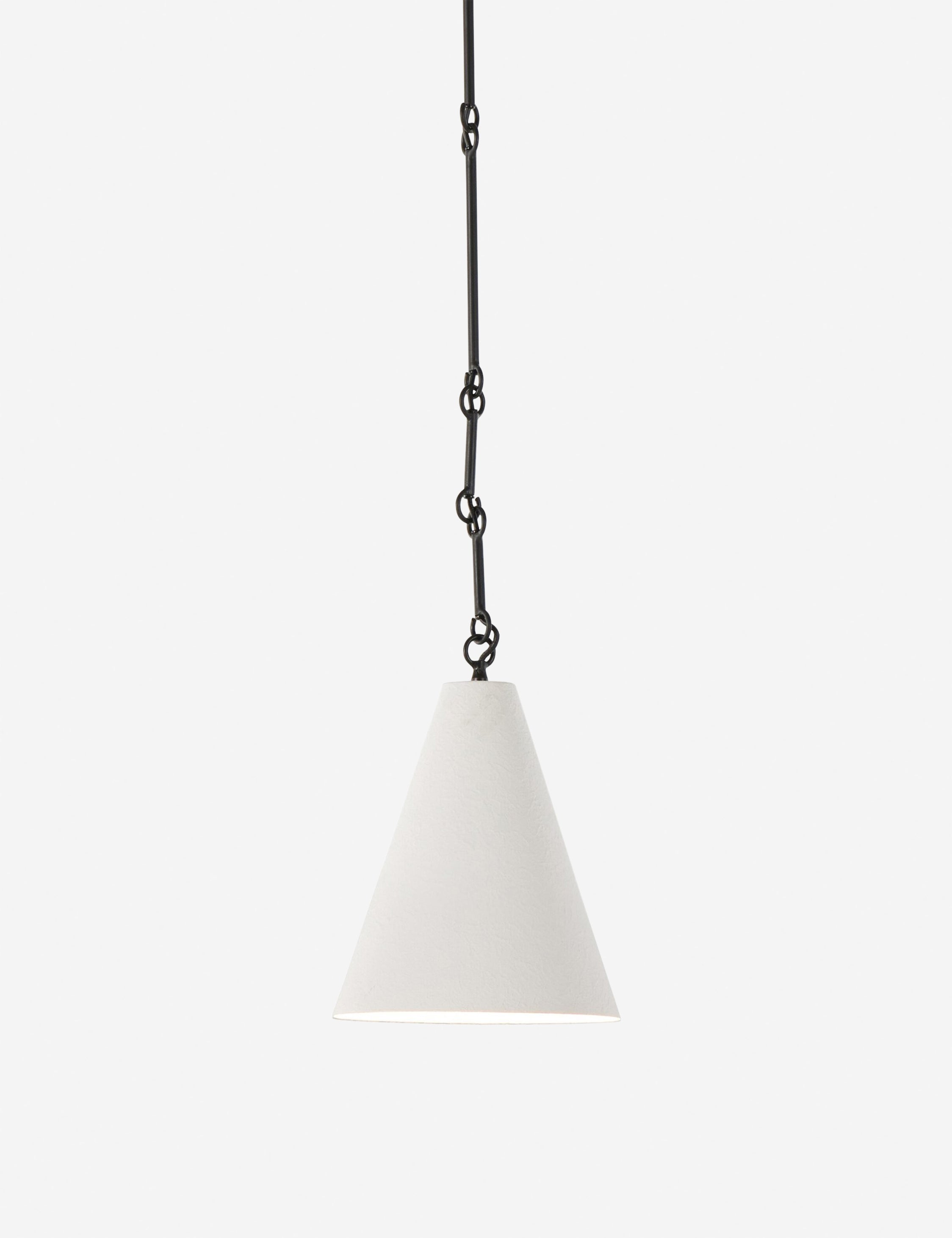 Ashwin Pendant Light